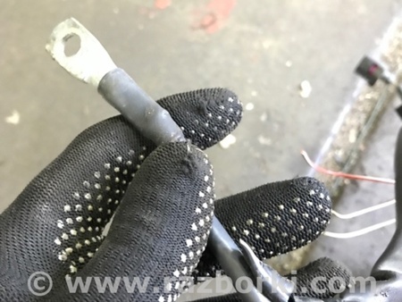 ФОТО Электропроводка для Audi (Ауди) A3 III 8V (12-20) Київ