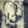 ФОТО Проводка для Subaru Forester SG Киев