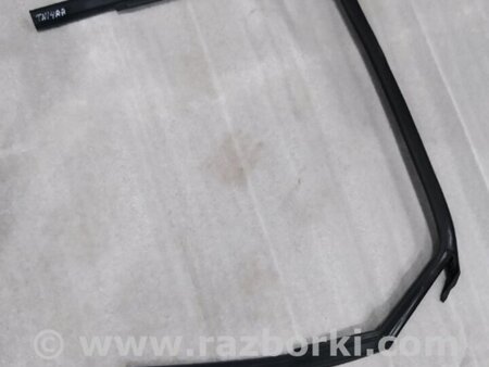 ФОТО Уплотнитель стекла двери для Audi (Ауди) A4 V B9 - 8W (2015-) Київ