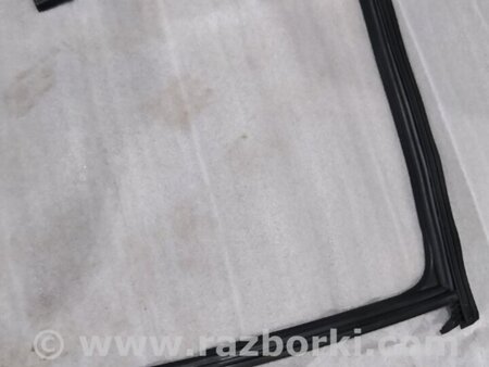 ФОТО Уплотнитель стекла двери для Audi (Ауди) A4 V B9 - 8W (2015-) Київ