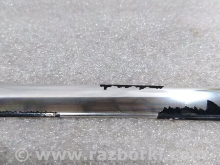 ФОТО Молдинг двери для Audi (Ауди) A4 V B9 - 8W (2015-) Київ