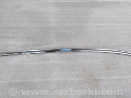 ФОТО Молдинг двери для Audi (Ауди) A4 V B9 - 8W (2015-) Київ