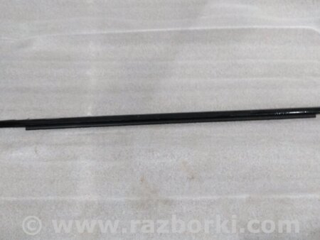 ФОТО Молдинг двери для Audi (Ауди) A4 V B9 - 8W (2015-) Київ