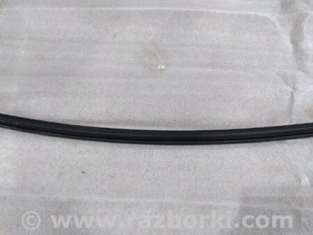 ФОТО Уплотнитель стекла двери для Audi (Ауди) A4 V B9 - 8W (2015-) Київ