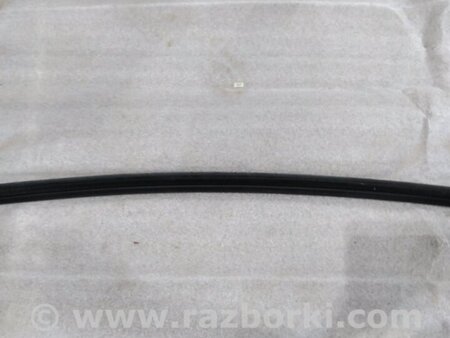 ФОТО Уплотнитель стекла двери для Audi (Ауди) A4 V B9 - 8W (2015-) Київ