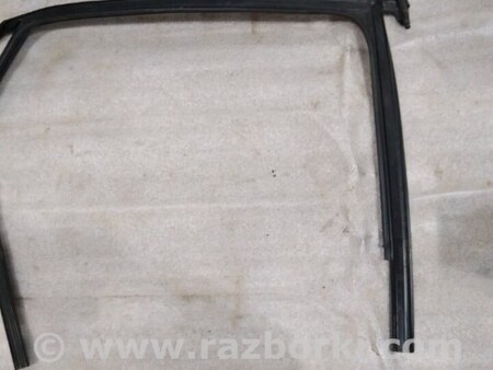 ФОТО Уплотнитель стекла двери для Audi (Ауди) A4 V B9 - 8W (2015-) Київ