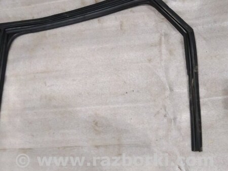 ФОТО Уплотнитель стекла двери для Audi (Ауди) A4 V B9 - 8W (2015-) Київ