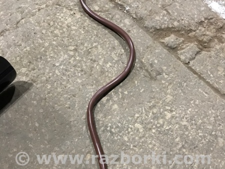 ФОТО Трубка топливная для Audi (Ауди) A4 V B9 - 8W (2015-) Київ