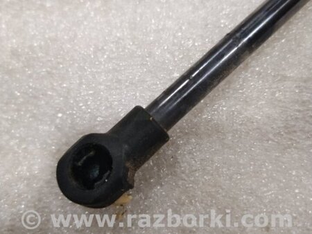 ФОТО Амортизатор капота для Audi (Ауди) A4 V B9 - 8W (2015-) Київ