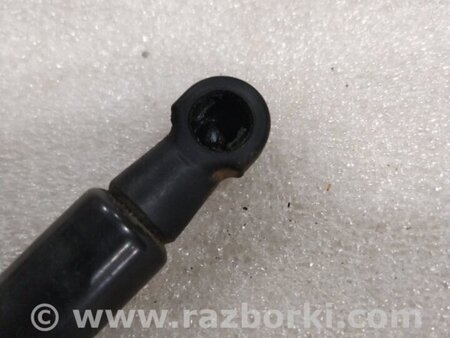 ФОТО Амортизатор капота для Audi (Ауди) A4 V B9 - 8W (2015-) Київ