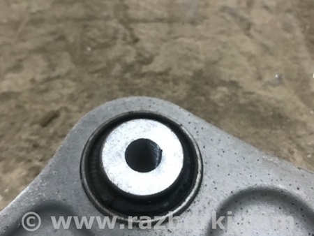 ФОТО Рычаг подвески для Audi (Ауди) A4 V B9 - 8W (2015-) Київ