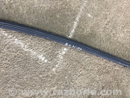 ФОТО Уплотнитель стекла двери для Audi (Ауди) A4 V B9 - 8W (2015-) Київ