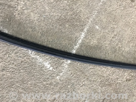 ФОТО Уплотнитель стекла двери для Audi (Ауди) A4 V B9 - 8W (2015-) Київ