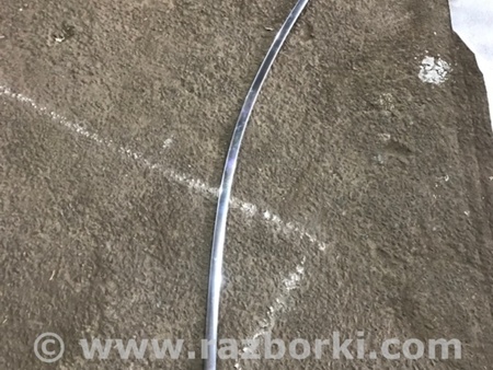 ФОТО Молдинг двери для Audi (Ауди) A4 V B9 - 8W (2015-) Київ