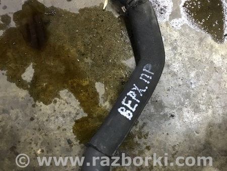 ФОТО Патрубок Радиатора правый для Audi (Ауди) A4 B8 - 8K2, 8K5 (08.2007-11.2015) Киев