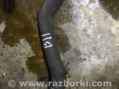 ФОТО Патрубок Радиатора правый для Audi (Ауди) A4 B8 - 8K2, 8K5 (08.2007-11.2015) Киев