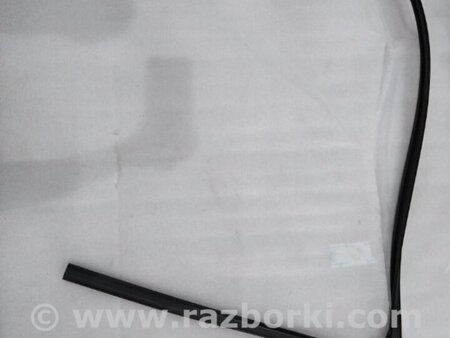 ФОТО Уплотнитель стекла двери для Infiniti QX50 II II P71A (17-25) Київ