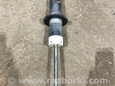 ФОТО Амортизатор подвески для Audi (Ауди) A4 V B9 - 8W (2015-) Київ