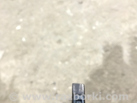 ФОТО Датчик ABS для Audi (Ауди) A4 V B9 - 8W (2015-) Київ