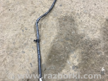 ФОТО Датчик кислородный для Audi (Ауди) A4 V B9 - 8W (2015-) Київ