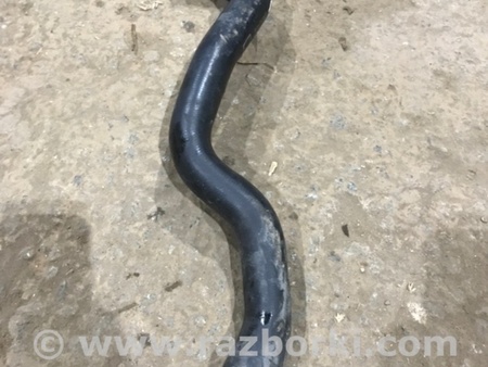 ФОТО Патрубок системы охлаждения для Audi (Ауди) A4 V B9 - 8W (2015-) Київ