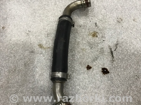 ФОТО Трубка охлаждения турбины для Audi (Ауди) A4 V B9 - 8W (2015-) Київ