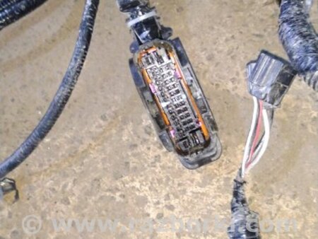 ФОТО Электропроводка для Infiniti QX50 II II P71A (17-25) Київ