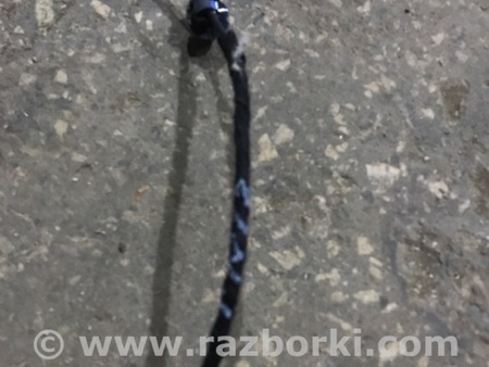 ФОТО Проводка багажника для Infiniti QX50 II II P71A (17-25) Київ