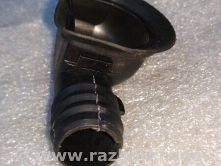 ФОТО Дренажный шланг для Audi (Ауди) A4 V B9 - 8W (2015-) Київ