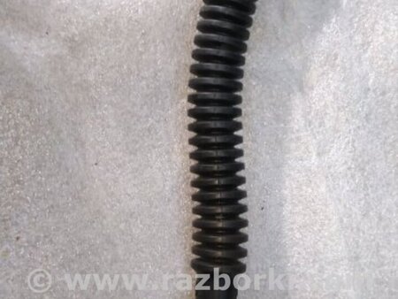 ФОТО Дренажный шланг для Audi (Ауди) A4 V B9 - 8W (2015-) Київ