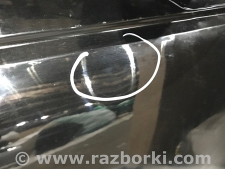 ФОТО Дверь боковая для Audi (Ауди) A4 V B9 - 8W (2015-) Київ