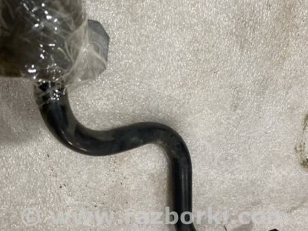 ФОТО Стабилизатор поперечной устойчивости для Audi (Ауди) A4 V B9 - 8W (2015-) Київ