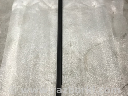 ФОТО Молдинг двери для Audi (Ауди) A4 V B9 - 8W (2015-) Київ