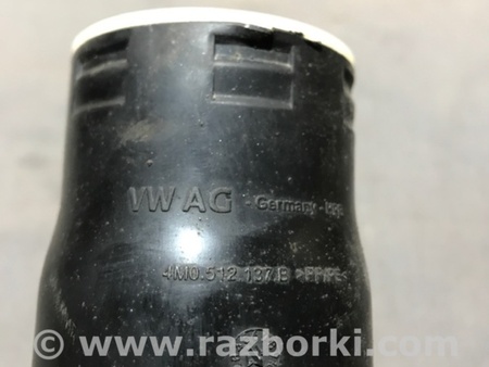 ФОТО Пыльник амортизатора для Audi (Ауди) A4 V B9 - 8W (2015-) Київ