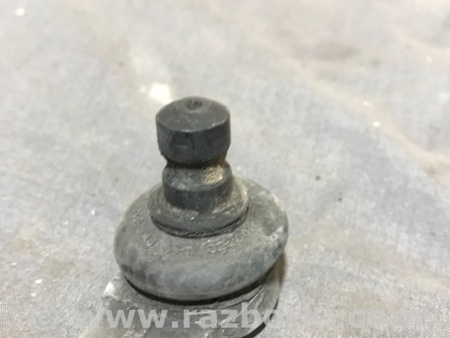 ФОТО Рычаг подвески для Audi (Ауди) A4 V B9 - 8W (2015-) Київ