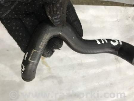ФОТО Патрубок системы охлаждения для Audi (Ауди) A4 V B9 - 8W (2015-) Київ