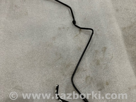 ФОТО Трубка вакуумная для Audi (Ауди) A4 V B9 - 8W (2015-) Київ