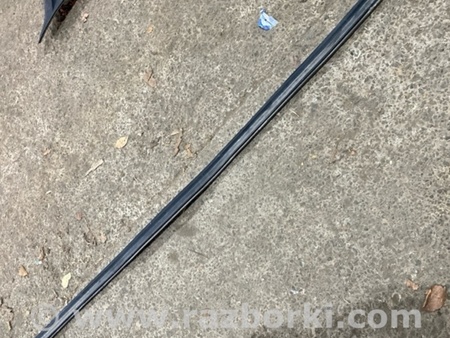 ФОТО Уплотнительная резинка для Audi (Ауди) A4 V B9 - 8W (2015-) Київ