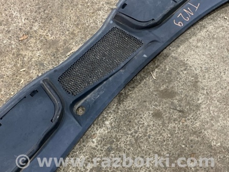 ФОТО Жабо для Audi (Ауди) A4 V B9 - 8W (2015-) Київ