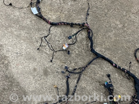 ФОТО Электропроводка для Audi (Ауди) A4 V B9 - 8W (2015-) Київ