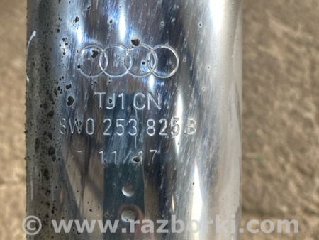 ФОТО Насадка на глушитель для Audi (Ауди) A4 V B9 - 8W (2015-) Київ