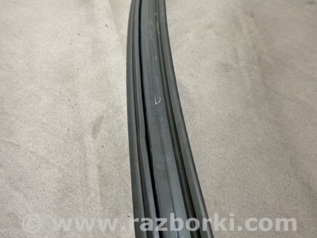ФОТО Уплотнитель стекла двери для Audi (Ауди) A4 V B9 - 8W (2015-) Київ