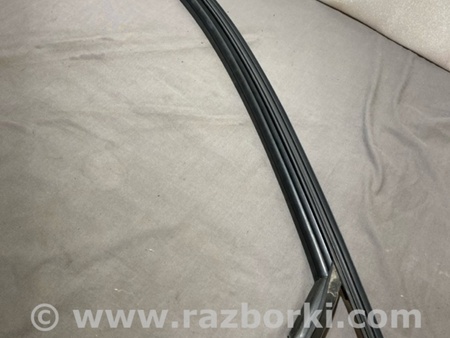 ФОТО Уплотнитель стекла двери для Audi (Ауди) A4 V B9 - 8W (2015-) Київ