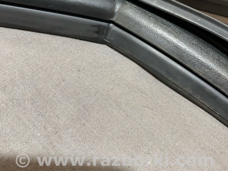 ФОТО Уплотнитель стекла двери для Audi (Ауди) A4 V B9 - 8W (2015-) Київ