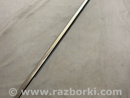 ФОТО Молдинг двери для Audi (Ауди) A4 V B9 - 8W (2015-) Київ