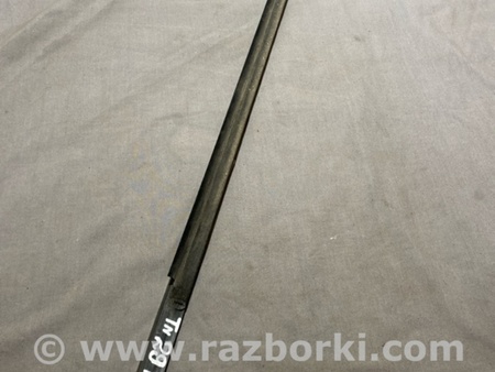 ФОТО Молдинг двери для Audi (Ауди) A4 V B9 - 8W (2015-) Київ