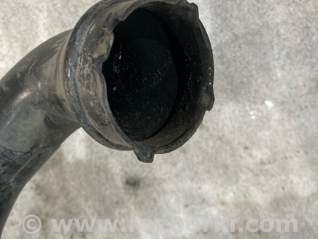 ФОТО Патрубок интеркулера для Audi (Ауди) A4 V B9 - 8W (2015-) Київ