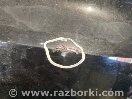 ФОТО Бампер для Audi (Ауди) A5 F5 B9 (16-24) Київ