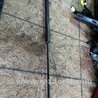 ФОТО Амортизатор капота для Audi (Ауди) A3 8V1, 8VA, 8V7, 8VS (03.2012-...) Киев