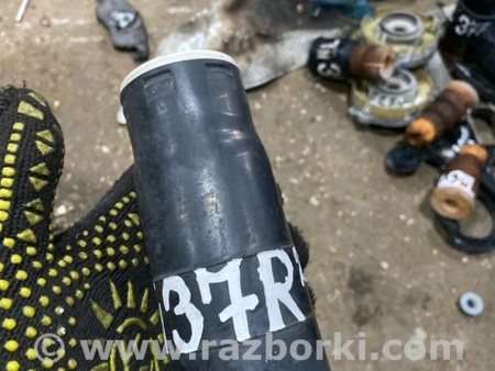 ФОТО Пыльник амортизатора для Audi (Ауди) A4 V B9 - 8W (2015-) Київ